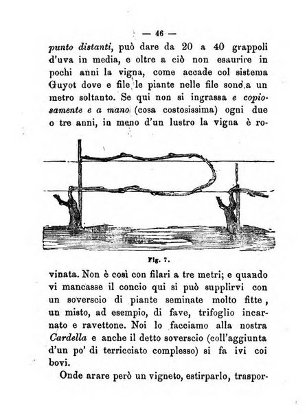 L'amico del contadino almanacco del giornale Il coltivatore