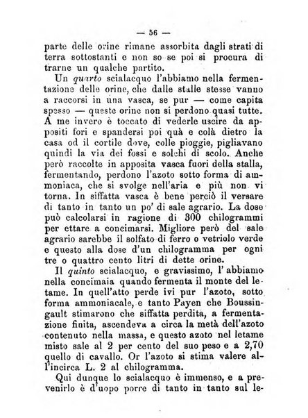 L'amico del contadino almanacco del giornale Il coltivatore