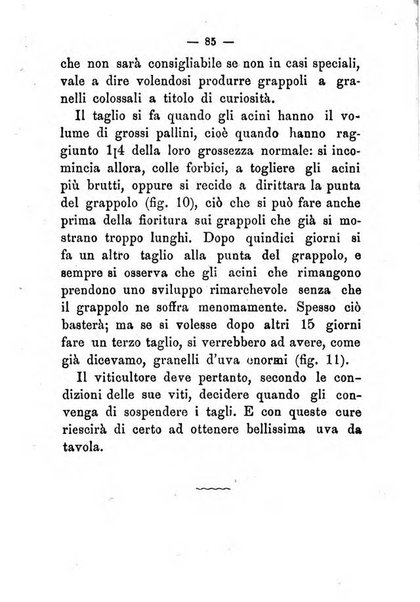 L'amico del contadino almanacco del giornale Il coltivatore