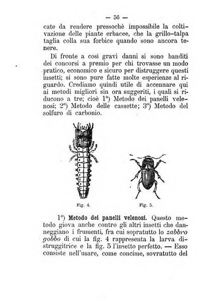 L'amico del contadino almanacco del giornale Il coltivatore