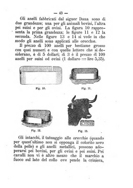 L'amico del contadino almanacco del giornale Il coltivatore