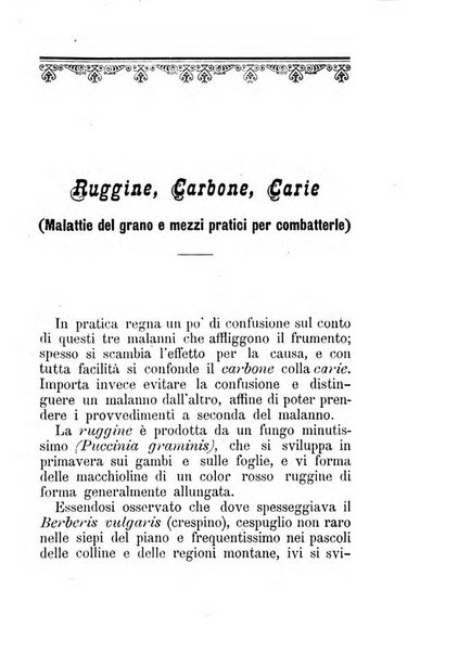 L'amico del contadino almanacco del giornale Il coltivatore