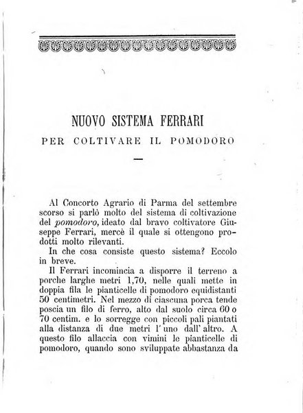 L'amico del contadino almanacco del giornale Il coltivatore