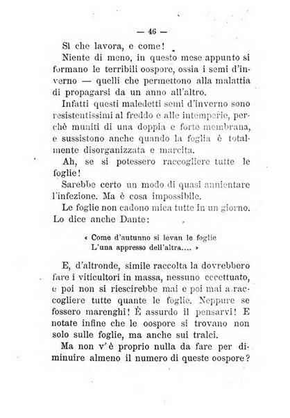 L'amico del contadino almanacco del giornale Il coltivatore