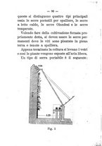 giornale/TO00174394/1894/unico/00000096