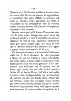 giornale/TO00174394/1894/unico/00000097