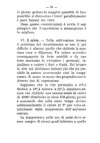 giornale/TO00174394/1894/unico/00000102