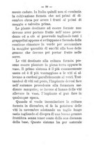 giornale/TO00174394/1894/unico/00000104