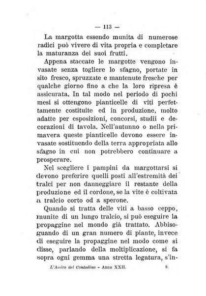 L'amico del contadino almanacco del giornale Il coltivatore