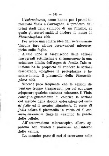 L'amico del contadino almanacco del giornale Il coltivatore