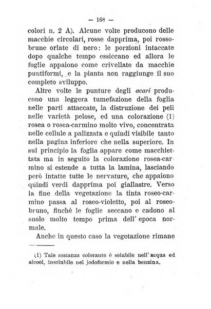 L'amico del contadino almanacco del giornale Il coltivatore