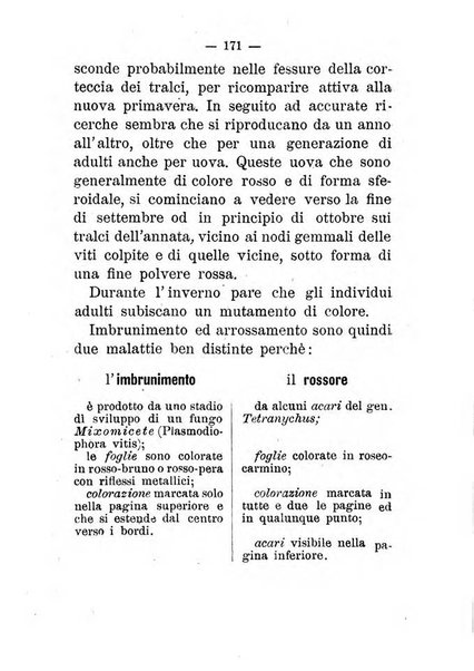 L'amico del contadino almanacco del giornale Il coltivatore