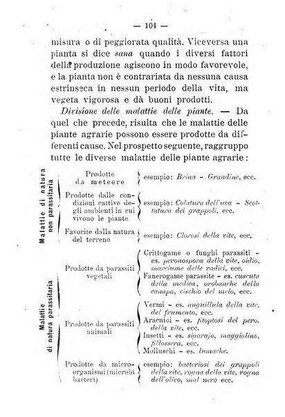 L'amico del contadino almanacco del giornale Il coltivatore