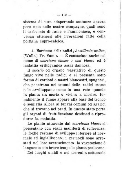 L'amico del contadino almanacco del giornale Il coltivatore