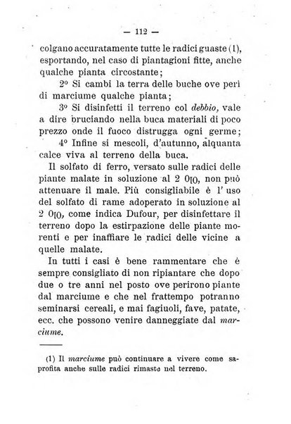 L'amico del contadino almanacco del giornale Il coltivatore