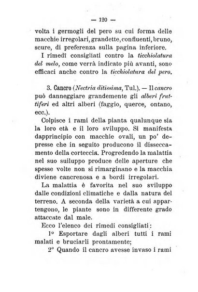 L'amico del contadino almanacco del giornale Il coltivatore