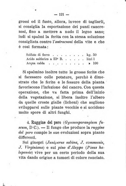 L'amico del contadino almanacco del giornale Il coltivatore