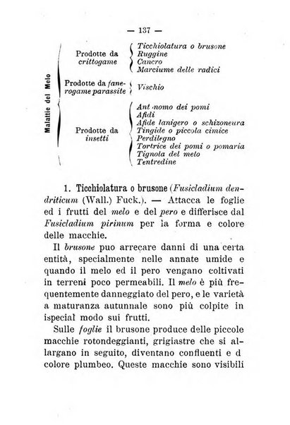 L'amico del contadino almanacco del giornale Il coltivatore