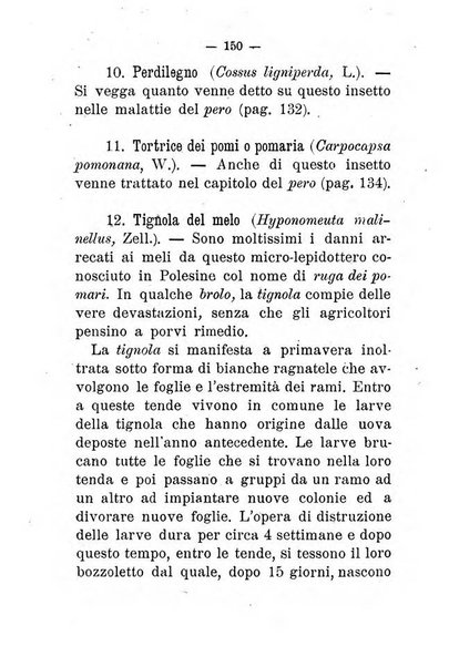 L'amico del contadino almanacco del giornale Il coltivatore