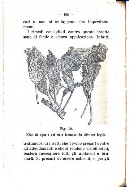 L'amico del contadino almanacco del giornale Il coltivatore