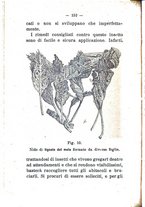 giornale/TO00174394/1897-1898/unico/00000158