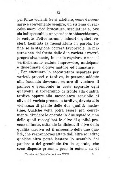 L'amico del contadino almanacco del giornale Il coltivatore