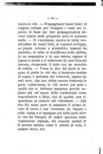 L'amico del contadino almanacco del giornale Il coltivatore