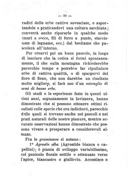 L'amico del contadino almanacco del giornale Il coltivatore