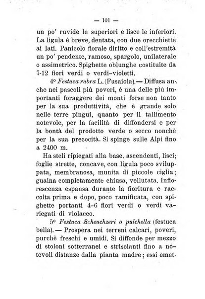 L'amico del contadino almanacco del giornale Il coltivatore