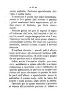 giornale/TO00174394/1899-1900/unico/00000089