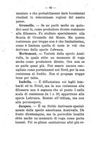 giornale/TO00174394/1901-1902/unico/00000066