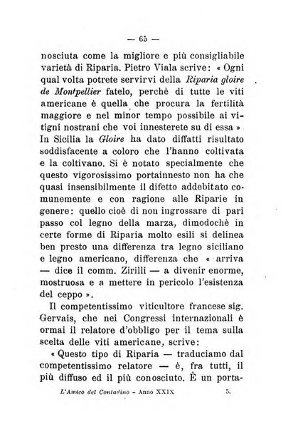 L'amico del contadino almanacco del giornale Il coltivatore