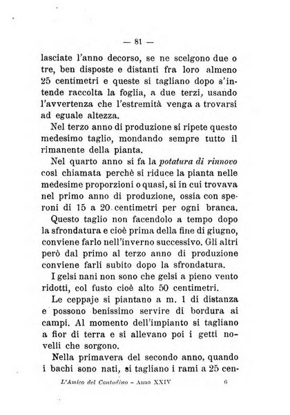 L'amico del contadino almanacco del giornale Il coltivatore