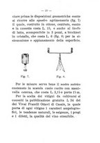 giornale/TO00174394/1901-1902/unico/00000173