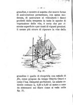 giornale/TO00174394/1901-1902/unico/00000192