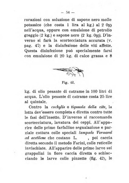 L'amico del contadino almanacco del giornale Il coltivatore