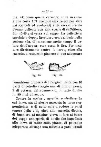 L'amico del contadino almanacco del giornale Il coltivatore