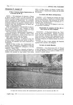 giornale/TO00175132/1933/unico/00000285