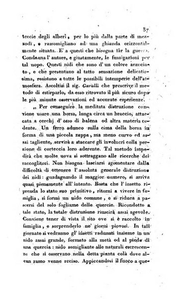 Annali dell'agricoltura del Regno d'Italia