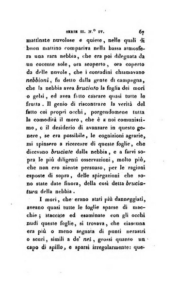 Annali dell'agricoltura del Regno d'Italia