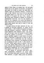 giornale/TO00175168/1883-1884/unico/00000037