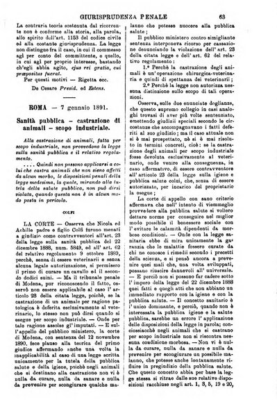 Annali della giurisprudenza italiana raccolta generale delle decisioni delle Corti di cassazione e d'appello in materia civile, criminale, commerciale, di diritto pubblico e amministrativo, e di procedura civile e penale