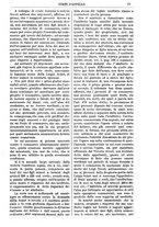 giornale/TO00175266/1895/unico/00000817