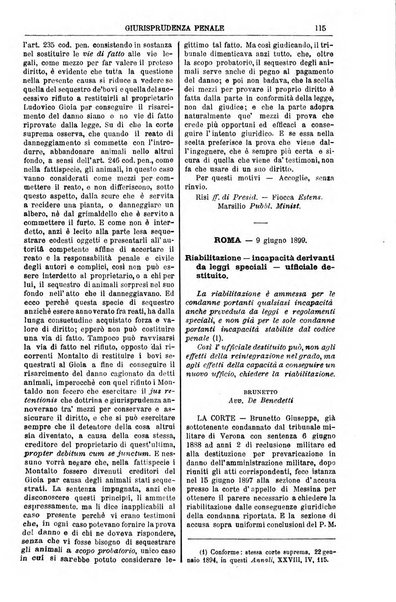 Annali della giurisprudenza italiana raccolta generale delle decisioni delle Corti di cassazione e d'appello in materia civile, criminale, commerciale, di diritto pubblico e amministrativo, e di procedura civile e penale