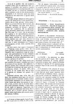 giornale/TO00175266/1904/unico/00000811