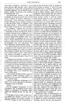 giornale/TO00175266/1904/unico/00000999