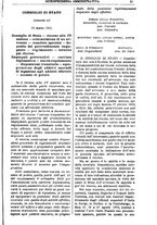 giornale/TO00175266/1904/unico/00001459