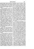 giornale/TO00175266/1905/unico/00001143