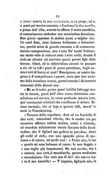 Annali della propagazione della fede raccolta periodica delle lettere dei vescovi e dei missionarj delle missioni nei due mondi ... che forma il seguito delle Lettere edificanti