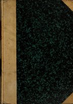 giornale/TO00175287/1895/v.10